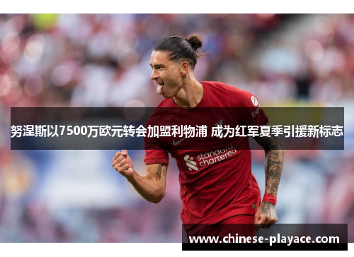 努涅斯以7500万欧元转会加盟利物浦 成为红军夏季引援新标志